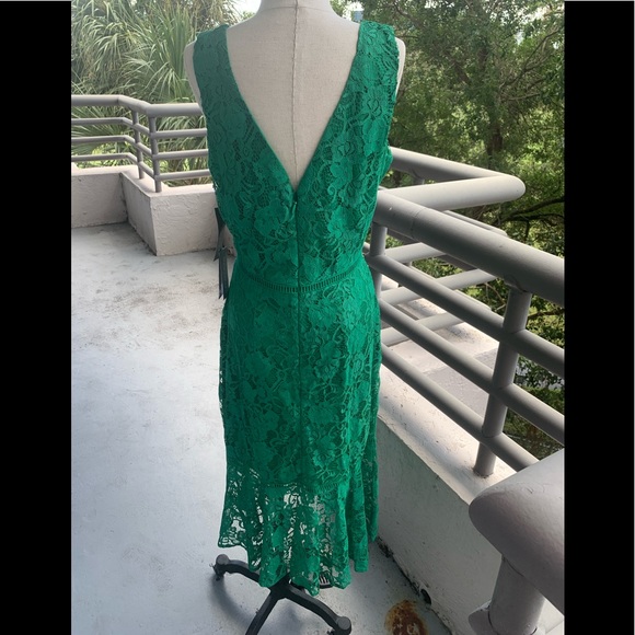 NWT! Eva Mendes Fiesta Collection Alexia Lace Sheath Dress size 8. - Picture 5 of 14